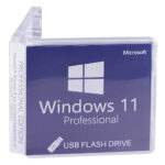 Windows 11 Pro, 64 bit, Multilanguage, OEM, USB 3.2 – 32GB