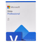 Visio Professional 2021, OEM Retail FPP, Windows 64 bit, Multilanguage, USB 3.0, eticheta CoA