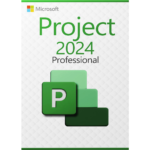 Project Professional 2024, Multilanguage, PC, licenta transferabila via Cloud, Bind, licenta digitala